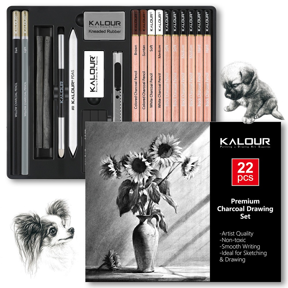 KALOUR 25/22 pièces Ensemble d - Sketching Charcoal Set avis et prix