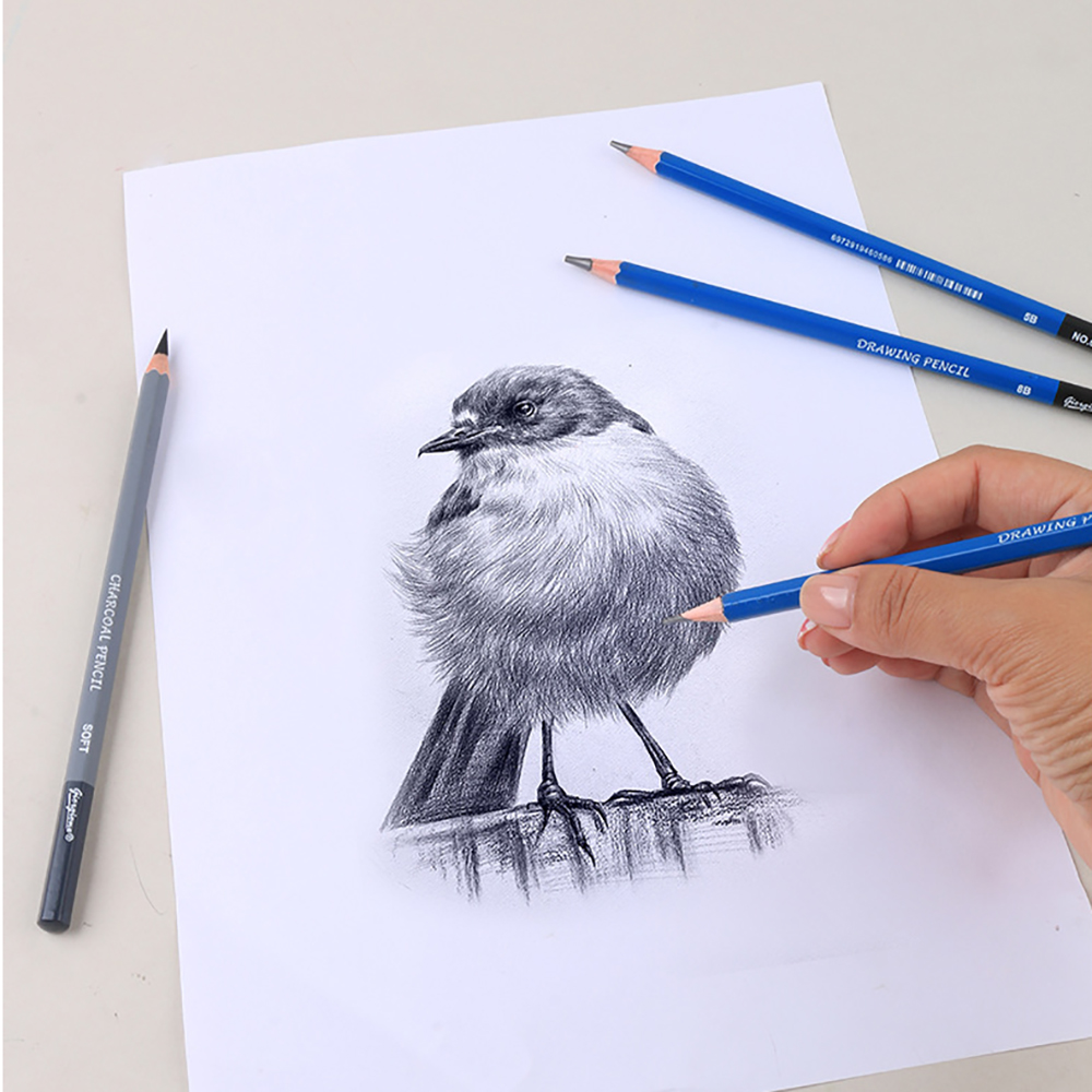 Ensemble de crayons à dessin d - Sketching Charcoal Set avis et prix